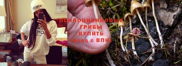 гидропоника Мегион