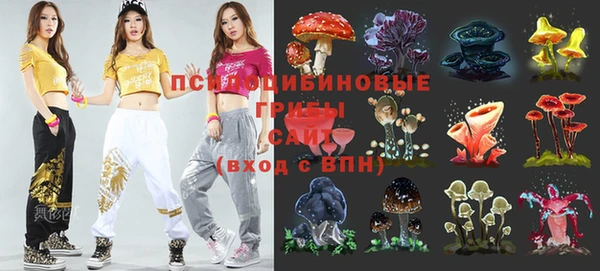 соль ск Медвежьегорск