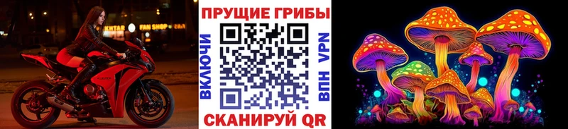 Купить где  Калач  Галлюциногенные грибы Psilocybine cubensis 